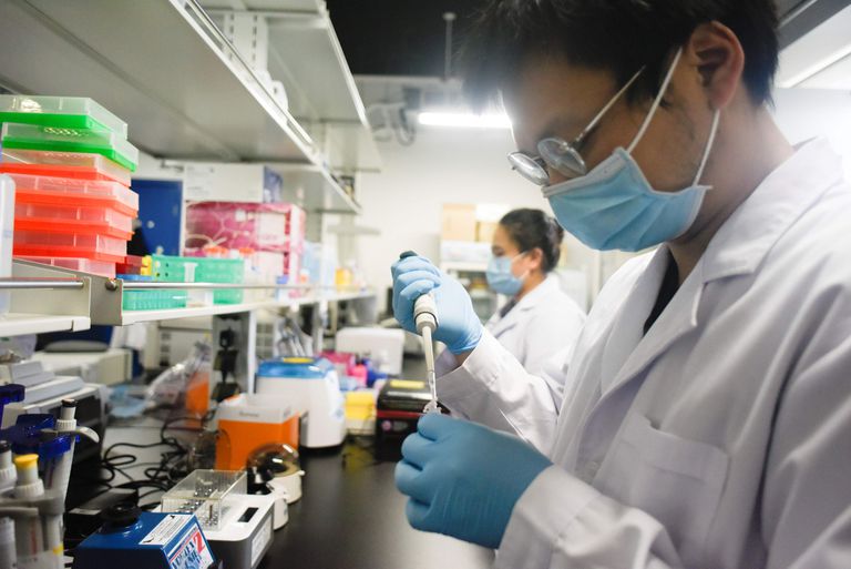 TODO SOBRE LA CARRERA DE FARMACIA, ¿QUÉ ESTUDIA? TODO SOBRE LA CARRERA DE FARMACIA, ¿QUÉ ESTUDIA?